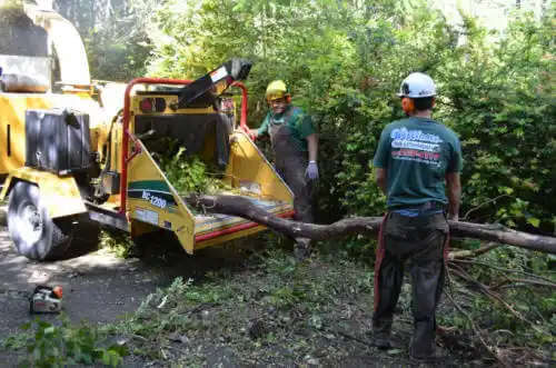 tree services Kalona